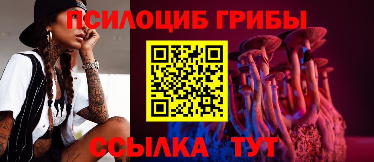 Псилоцибиновые грибы мухоморы  Вход с VPN  Кольчугино 
