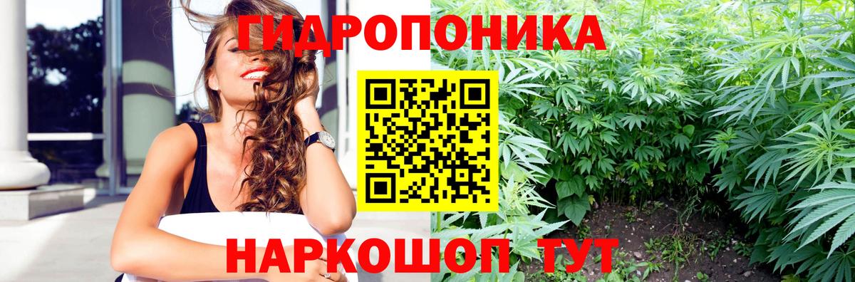 МАРИХУАНА индика Кольчугино